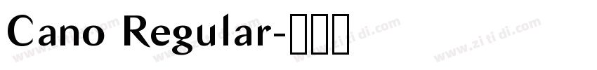 Cano Regular字体转换